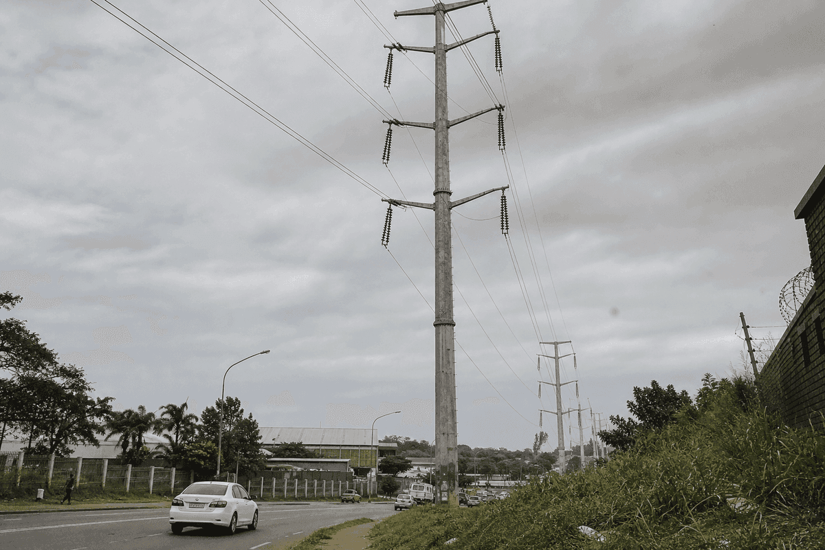 Durban Power Transmission Tower Market Analysis: 110kV Double-Circuit Steel Tubular Pole Configuration Guide