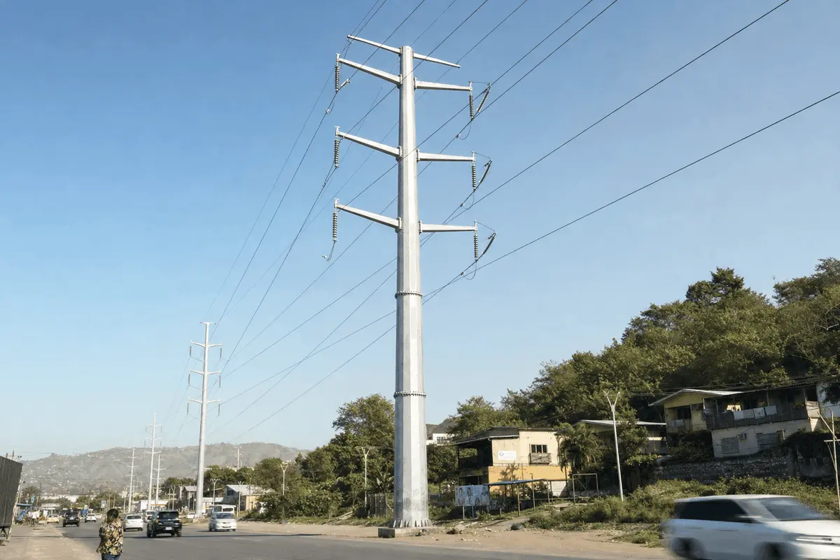 Port Moresby Power Transmission Tower Market Analysis: 110kV Double-Circuit Steel Tubular Pole Guide